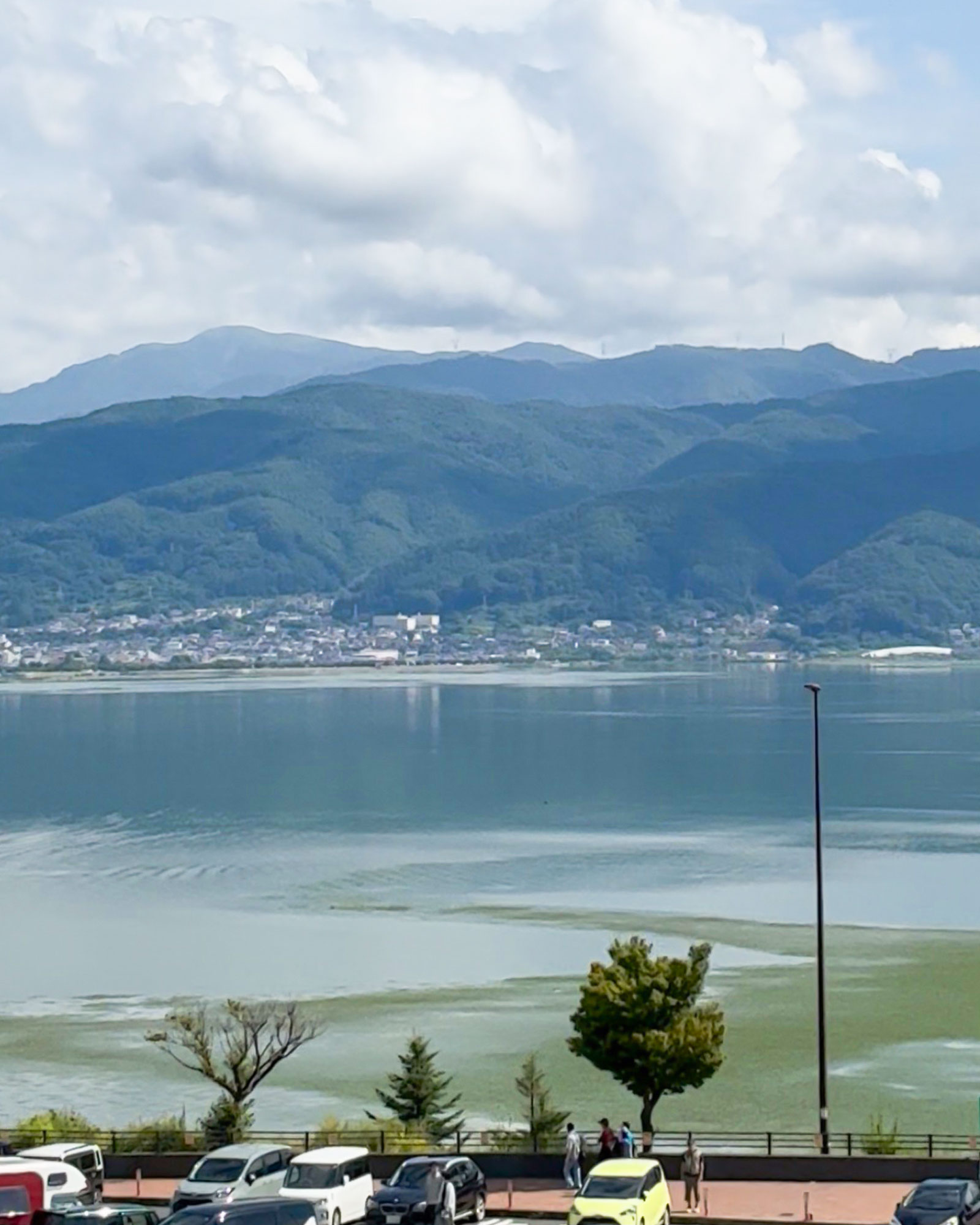 諏訪SA下りからの諏訪湖
